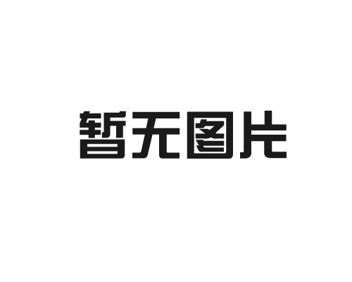 RTO蓄热式热力氧化沙巴开户app（中国）股份责任有限公司治理